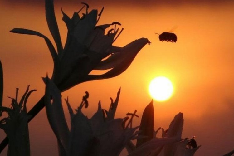 Cezası 387 bin TL! İlk g&ouml;r&uuml;nt&uuml;ler geldi