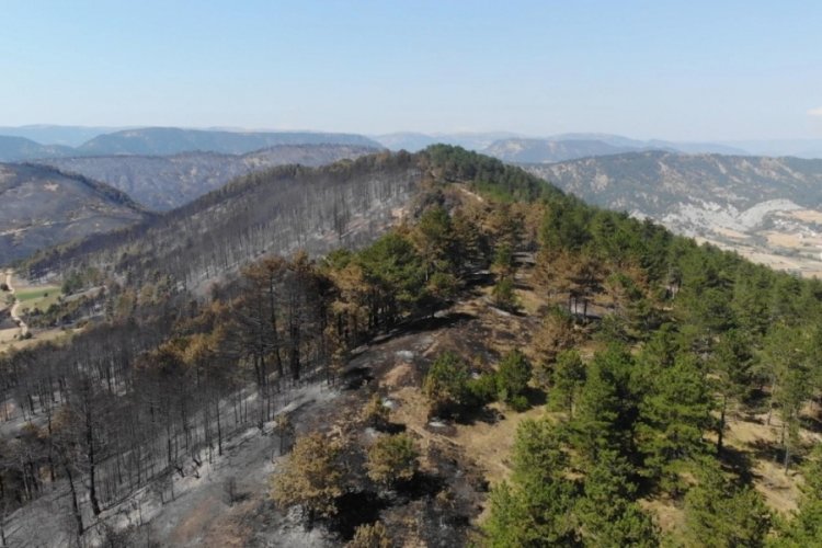 Bolu'da yangında siyaha d&ouml;nen yeşil alanlar havadan g&ouml;r&uuml;nt&uuml;lendi