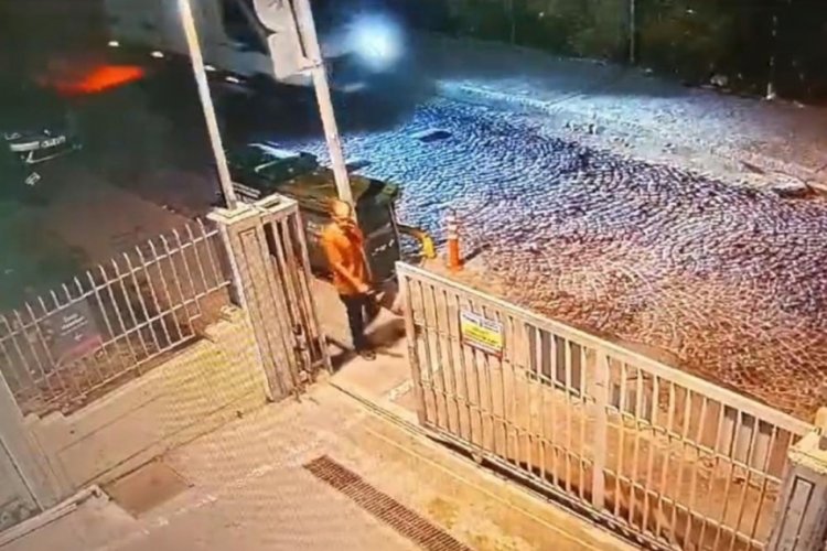 İstanbul'da sokak k&ouml;peklerinin saldırısına uğrayan adam hayatını kaybetti