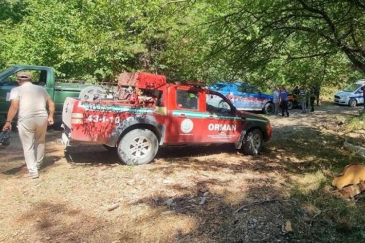 K&uuml;tahya'da 13 k&ouml;pek &ouml;l&uuml; bulundu!