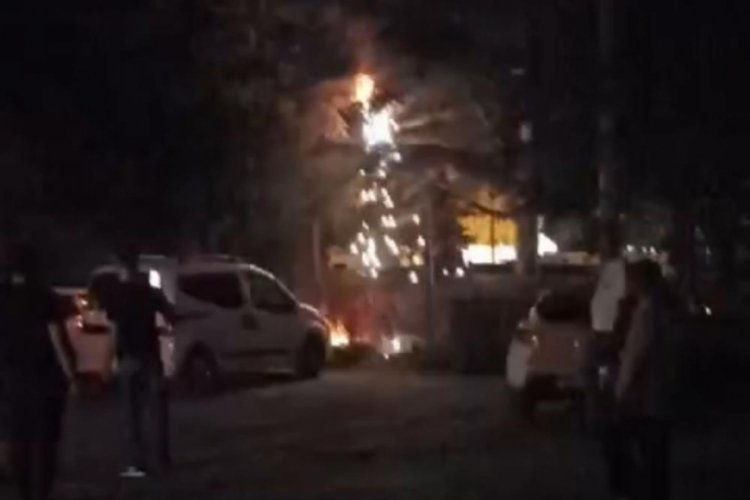 Bolu'da ağacın dibindeki elektrik kablolarından &ccedil;ıkan kıvılcım korkuttu