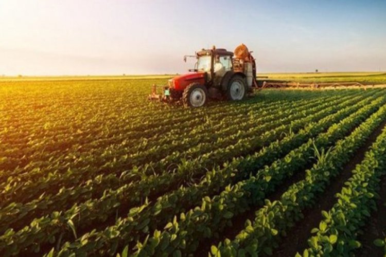 Tarımsal girdi fiyat endeksi arttı!