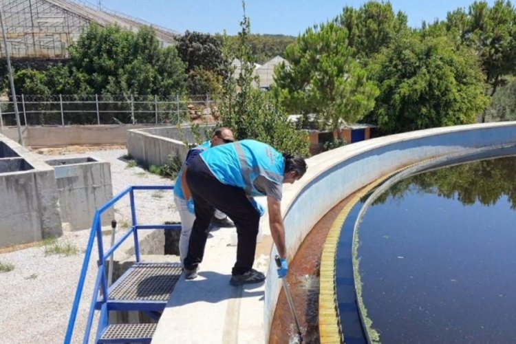 Bakanlık, Antalya B&uuml;y&uuml;kşehir Belediyesi'ne 464 bin lira para cezası uyguladı