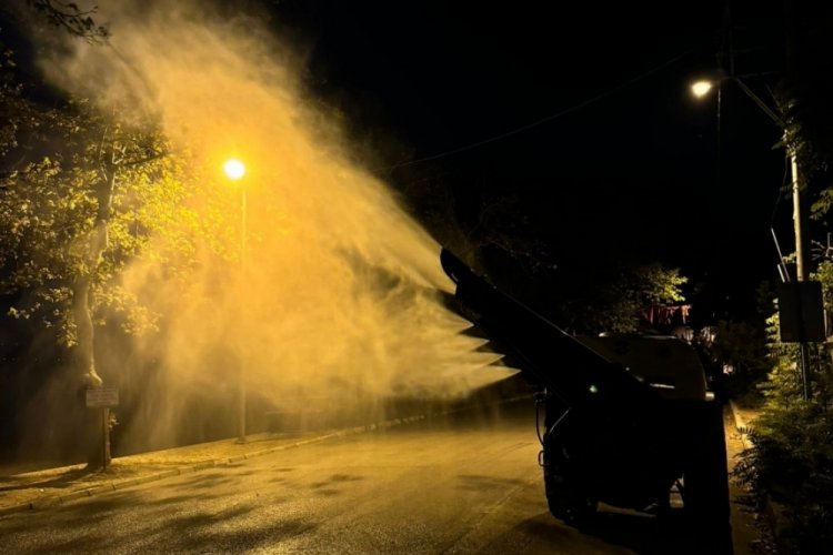 Bursa'da İznik Boyalıca sahilindeki ağa&ccedil;lar ila&ccedil;lanıyor