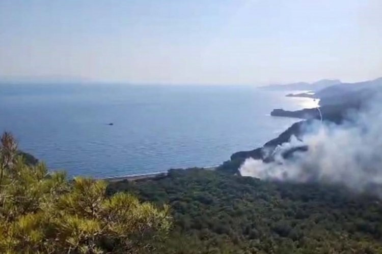 Dat&ccedil;a'daki orman yangınıyla ilgili tutuklu sayısı 2'ye y&uuml;kseldi