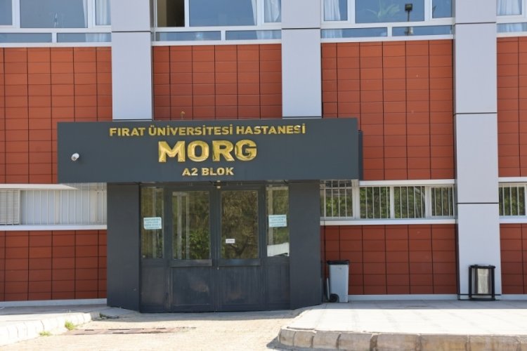Elazığ'da trakt&ouml;r&uuml;n altında kalarak hayatını kaybetti