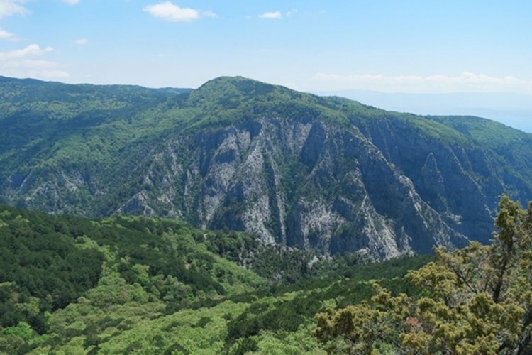 Kazdağları Milli Parkı'na girişler yasaklandı!