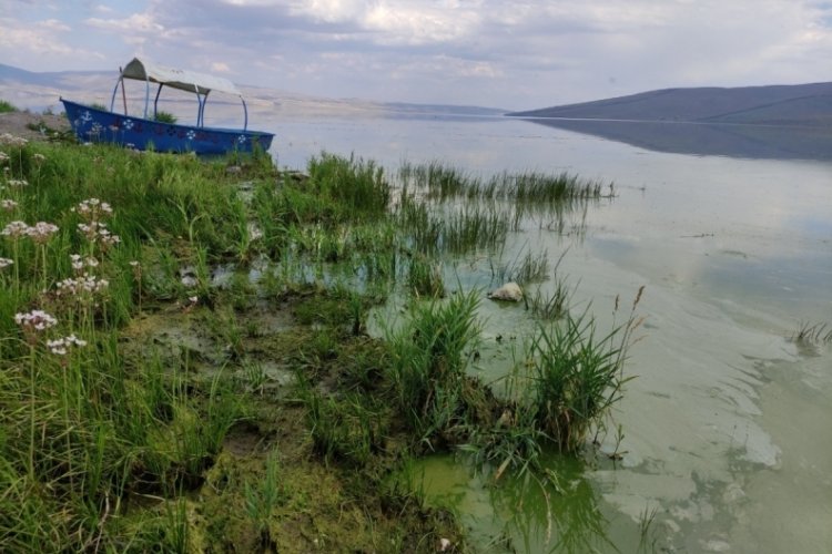 Ardahan'da çıldır gölü tehlike saçıyor!