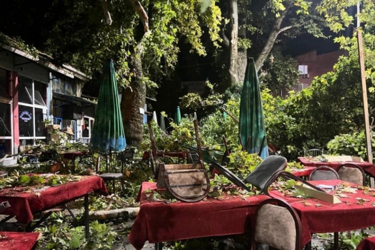 İzmir'de asırlık ağacın dalı kıraathanede oturanların &uuml;zerine devrildi