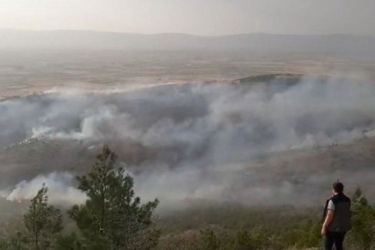 Denizli'deki &ccedil;ıkan orman yangını ekiplerin m&uuml;dahalesiyle kontrol altına alındı