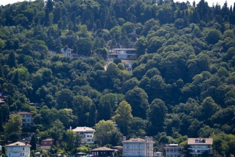 Vanik&ouml;y'deki izinsiz inşaatla ilgili soruşturma başlatıldı!