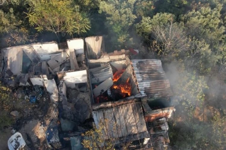 Bursa'da zeytinlik alandaki yangın s&ouml;nd&uuml;r&uuml;ld&uuml;