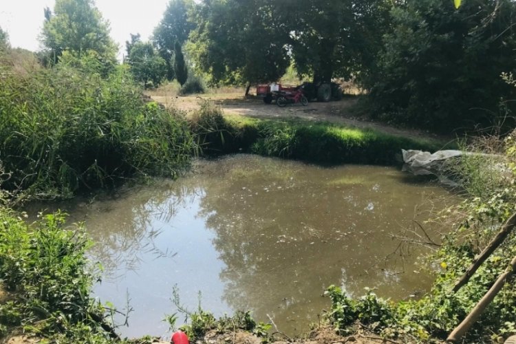 Bursa'da kanalizasyon giderleri dereleri bataklığa &ccedil;evirdi! Suyu kullanamayan &uuml;reticiler tepkili