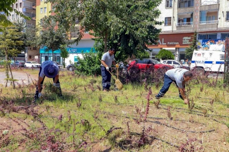 Diyarbakır'da parklarda temizlik seferberliği!