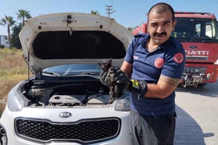 Hatay'da yavru kedi araç motoruna sıkıştı: İtfaiye ekipleri yetişti!