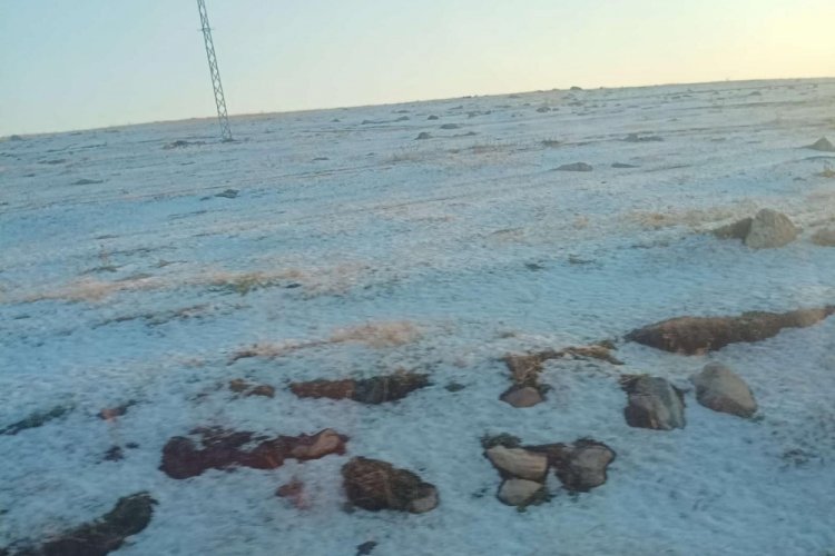 Ardahan'da kavurucu sıcaklarda şaşırtan g&ouml;r&uuml;nt&uuml;:Dolu yağışı ekili alanları vurdu!