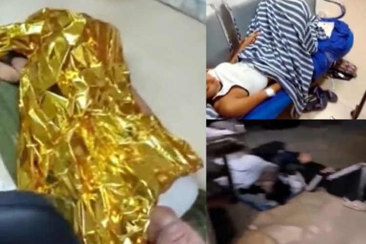 Ege'deki d&uuml;nyaca &uuml;nl&uuml; &ccedil;ıplaklar adasında salgın hastalık alarmı