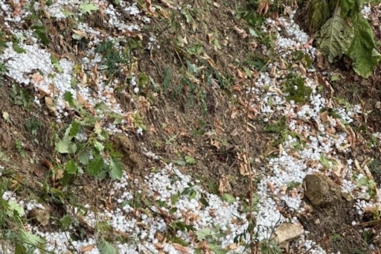 Bursa'da aniden bastıran dolu hayatı fel&ccedil; etti