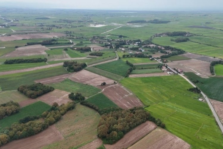 Samsun'da sağanak yağış tarım arazilerini vurdu!