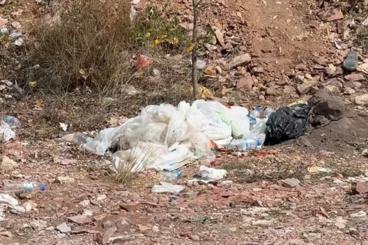 Tokat'ta doğal g&uuml;zellik g&ouml;lgelendi: &Ccedil;evre katliamı!