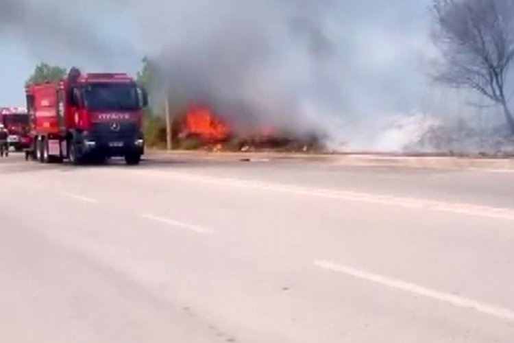 Kocaeli'de ağa&ccedil;lık alanda &ccedil;ıkan yangın s&ouml;nd&uuml;r&uuml;ld&uuml;