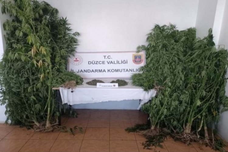 D&uuml;zce'de uyuşturucu operasyonu! 5 kişi tutuklandı