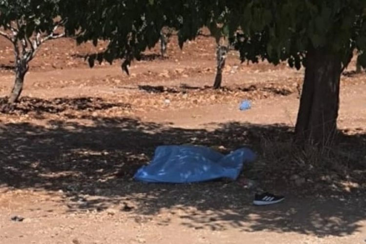 Şanlıurfa'da fıstık bah&ccedil;esinde &ouml;l&uuml; bulunan &ouml;ğretmenin katili bulundu