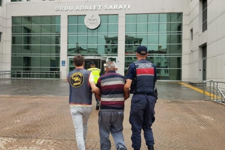 Ordu'da uyuşturucu madde imal ve ticareti yapan yaşlı şahıs yakalandı