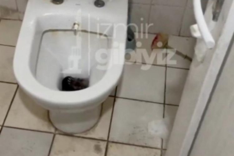 İzmir'de klozetin kapağını kaldırmasıyla karşısına fare &ccedil;ıktı