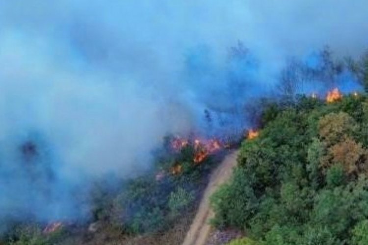 Bursa Valiliği İznik'te çıkan yangına müdahale eden araç sayısını açıkladı