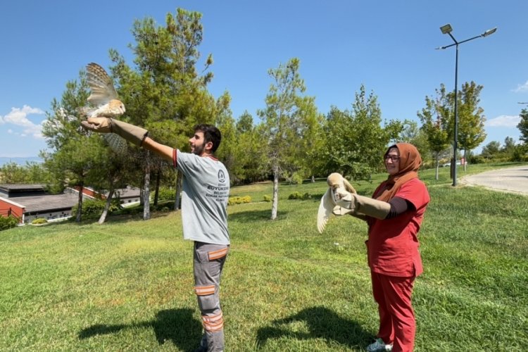 Denizli'de sağılığına kavuşan yaban dostları &ouml;zg&uuml;rl&uuml;ğe kanat &ccedil;ırptılar!