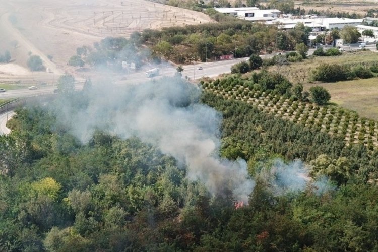 Bursa Yıldırım'da ağa&ccedil;lık alanda &ccedil;ıkan yangın s&ouml;nd&uuml;r&uuml;ld&uuml;
