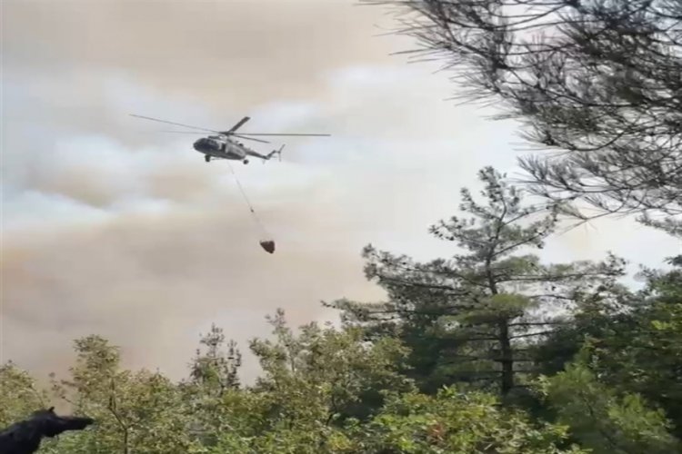 Bursa'da 2 gün önce çıkan yangında 80 hektarlık alan zarar gördü