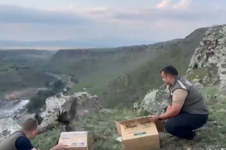 Kars'ta bakımı tamamlanan kara&ccedil;aylaklar doğal yaşam alanına bırakıldı!