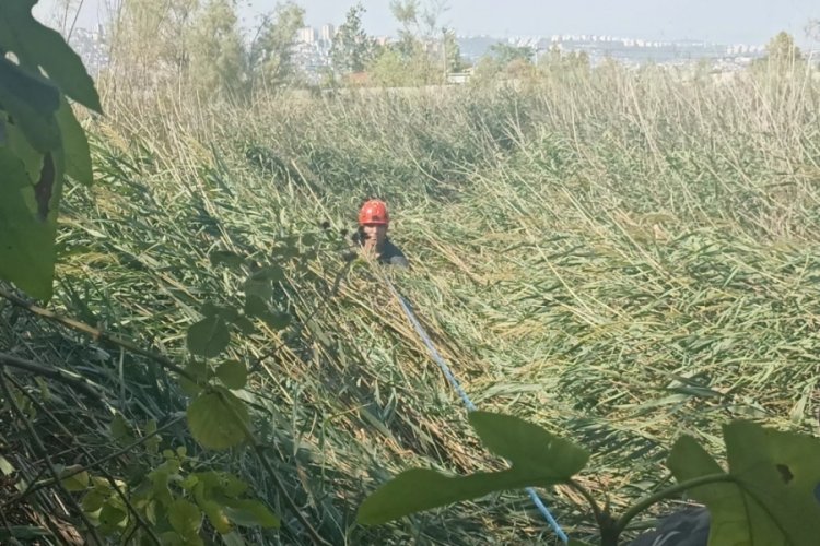 Kocaeli'de sazlık alanda mahsur kalan 2 arkadaşı itfaiye kurtardı! "Maceraya kapıldık"