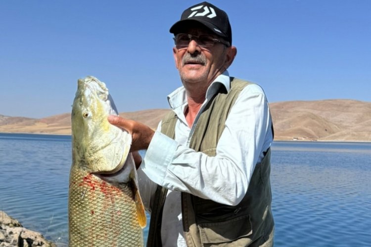 El&acirc;zığ'da  balık&ccedil;ının  yakaladığı 35 kiloluk dev turna balığı ilgi odağı oldu!