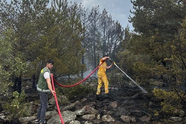 Bolu'da orman yangını! 3 saatlik m&uuml;dahale