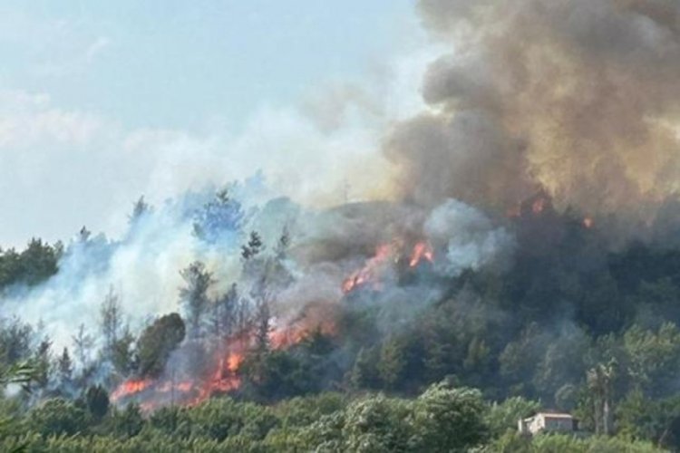 Antalya Aksu'da orman yangını!
