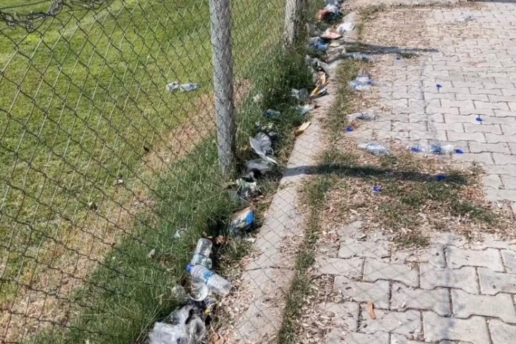 Balıkesir'de 'kuşcenneti milli Park'  &ccedil;evre katliamı!