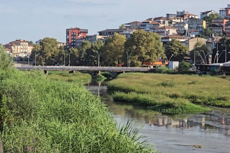 Zonguldak'ta kuraklık alaplı &ccedil;ayı'da vurdu!
