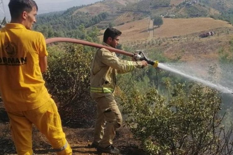 Kahramanmaraş'ta orman yangını!
