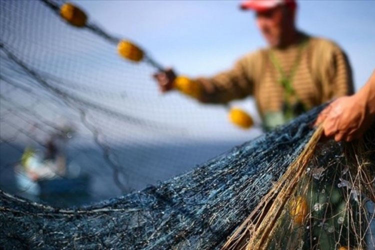 Balıkçılar "vira bismillah" diyecek: Av sezonu 1 Eylül'de başladı