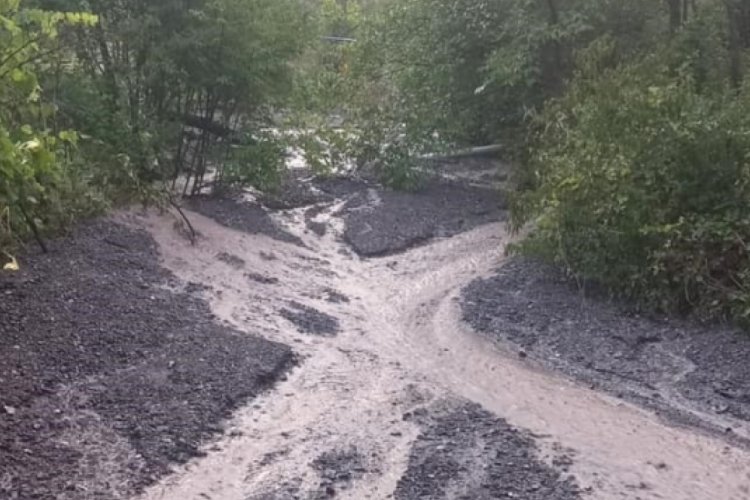 Artvin'de şiddetli yağış köy yollarını felç etti!