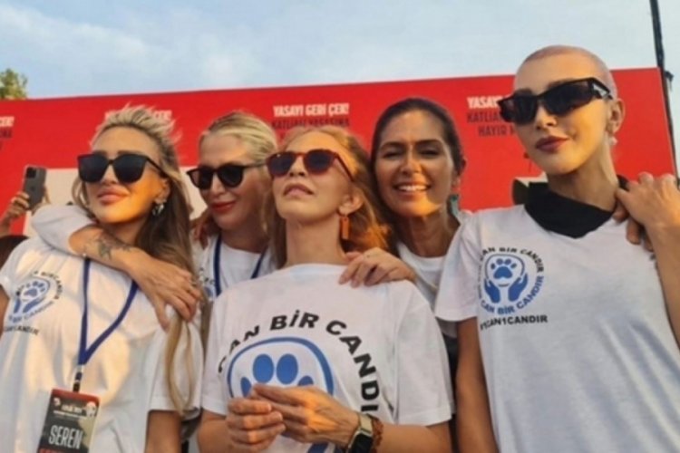 &Uuml;nl&uuml; isimlerden sokak hayvanlarına destek mitingi!