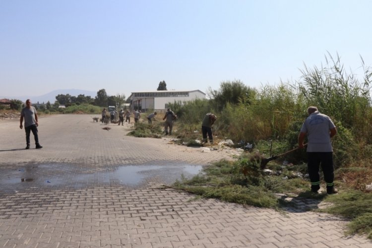 Aydın'da temizlik &ccedil;alışmaları titizlikle son s&uuml;rat devam ediyor!