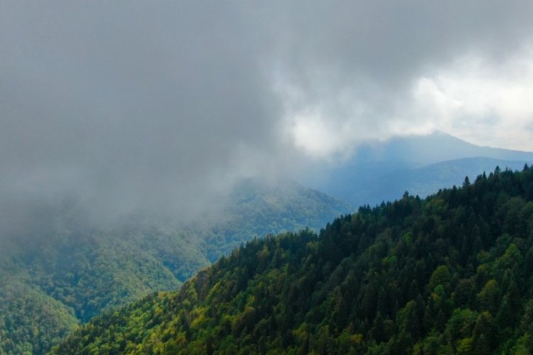 Kastamonu'da sis ve ormanın muhteşem sunumu mest etti!