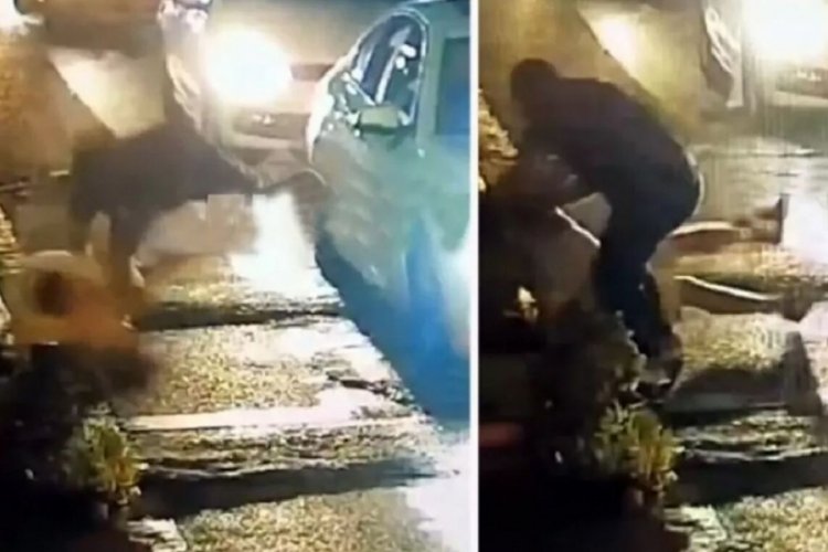 Savcıya saldıran şahıs: Herkesten &ouml;z&uuml;r diliyorum