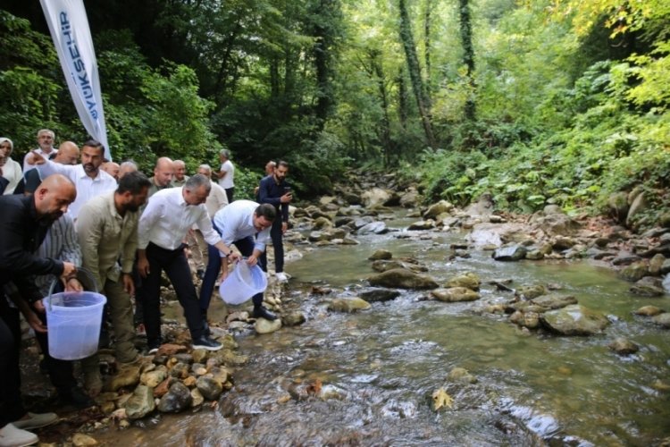 Kocaeli'nde su kaynaklarına binlerce kırmızı benekli alabalık salındı!