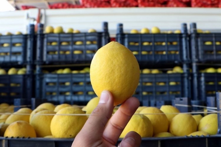 Üretici ve market arasındaki en fazla fiyat farkı limonda