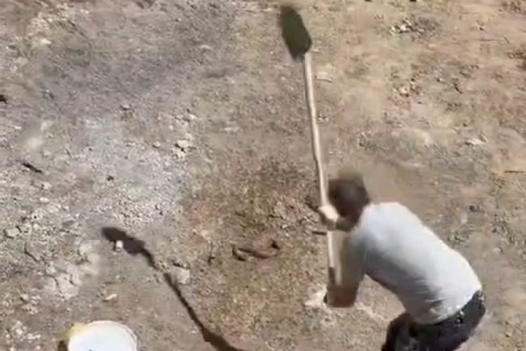 Elazığ'da inşaatta yılan paniği!